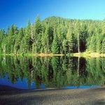 Profile Picture of Nancy Hanks Allen (@nancyhanksallen) on Instagram