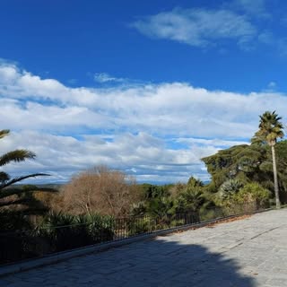 Profile Picture of Richard Adelman (@radelman) on Instagram