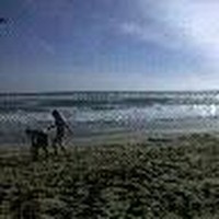 Profile Picture of Jesse Atkinson (@jesse-atkinson-9) on Quora