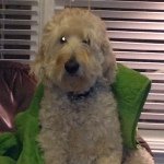 Profile Picture of Dustyjayrush (@dustyjayrush) on Instagram