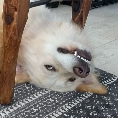 Profile Picture of Benneman (@Benneman3) on Twitter