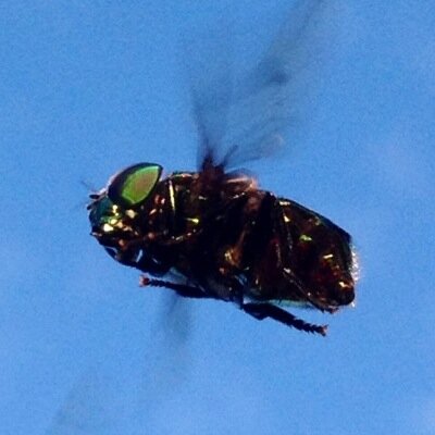 Profile Picture of Peter LaRocque (@peter00128352) on Twitter