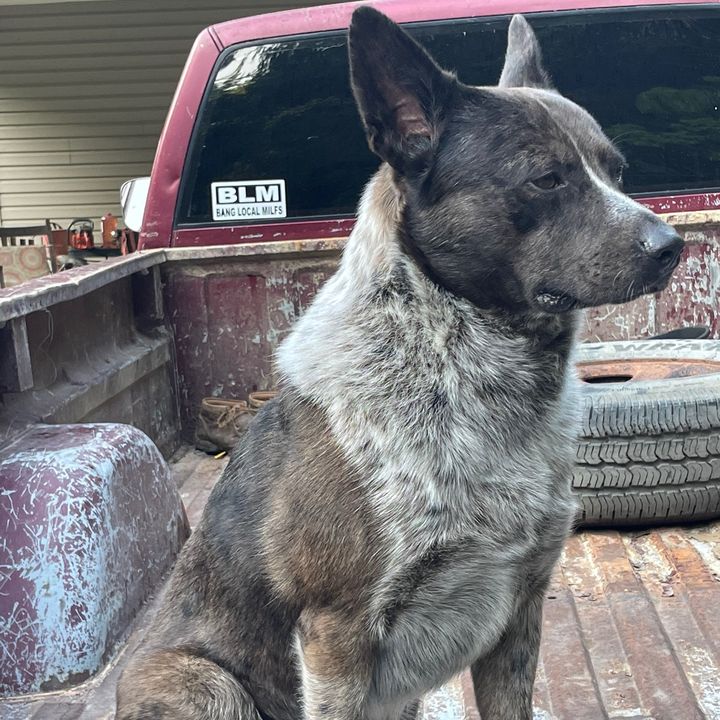Profile Picture of Ethan Foltz (@ethanfoltz7) on Tiktok