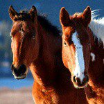 Profile Picture of Craig (@craigblankenship33) on Instagram