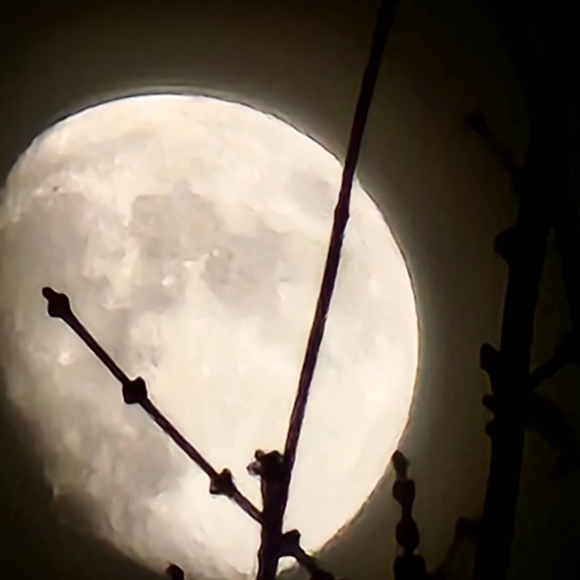 Profile Picture of Kyle Cass (@budgetbling987) on Poshmark