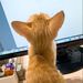 Profile Picture of Elaine Chang (@hua22709596) on Pinterest