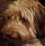 Profile Picture of Terry Ludwig (@terry.ludwig.56) on Facebook