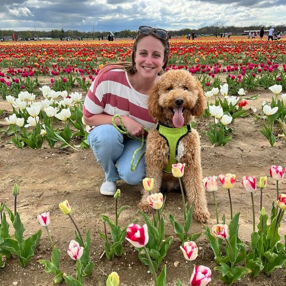 Profile Picture of Jackie Grimaldi (@jmg01691) on Poshmark