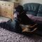 Profile Picture of Keith Docker (@keith.docker.12) on Facebook