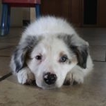 Profile Picture of Lawrence.chisholm (@lawrence.chisholm5583) on Instagram