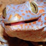 Profile Picture of Alex Carrasco (@imalexcarrasco) on Instagram