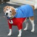 Profile Picture of Bill Liljeroos (@bill.liljeroos.5) on Facebook