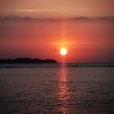 Profile Picture of Nick Dimarco (@realnickdimarco) on Twitter