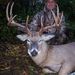 Profile Picture of Casey Weisser (@caseyweisser) on Pinterest