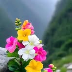 Profile Picture of Chris Keith (@chris.keith.400944) on Facebook