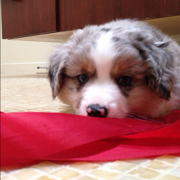 Profile Picture of Elle Tichy (@ligaya) on Poshmark