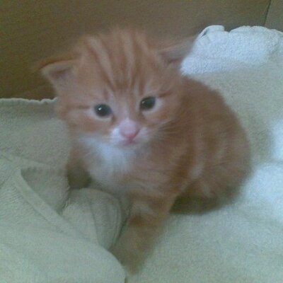 Dan Aldous - Twitter Profile Picture of Dan Aldous (@DANNY261) on Twitter