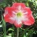 Profile Picture of Jean Carlson (@jean.carlson.125) on Facebook