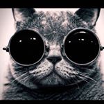 Profile Picture of Chris Foster (@cfost11) on Instagram