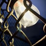Profile Picture of Aaron Celestino (@aaronc831) on Instagram