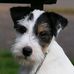 Profile Picture of Tracey Brunning (Mowan) (@tracey.mowan) on Facebook