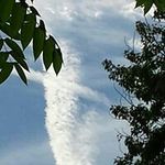 Profile Picture of Mary Kocman Hoffert (@marykocman) on Instagram