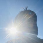 Profile Picture of James Sak (@james.sak.666087) on Facebook