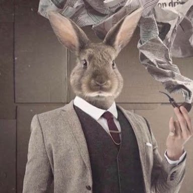 Profile Picture of Señor Conejo (@JCarlos_Arroyo) on Twitter
