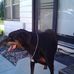 Profile Picture of Michael Hargis (@michael.hargis.902) on Facebook