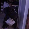 Profile Picture of Chase Greer (@@chase.greer23) on Tiktok