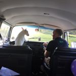 Profile Picture of Guy Allen (@theguyallen) on Instagram