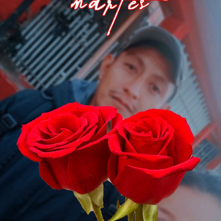 Profile Picture of Erika Monzon (@erika.monzon0) on Tiktok