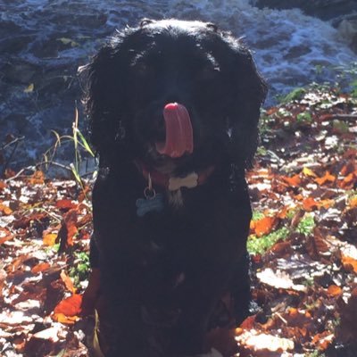 Profile Picture of Mike Spink (@mikespink13) on Twitter