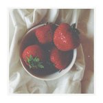 Profile Picture of Cleo (@8205hines) on Instagram