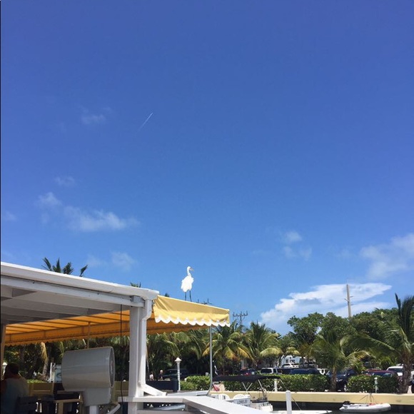 Profile Picture of Michael Ragusa (@michaelragusa) on Poshmark