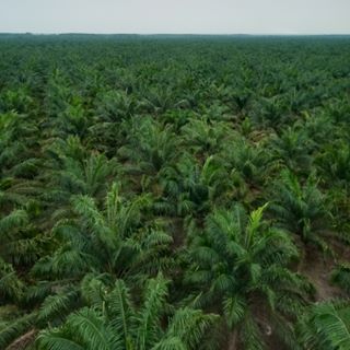 Profile Picture of Dst (@dst.dst.58726) on Facebook