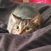 Profile Picture of P Majd (@parastoomajd) on Pinterest