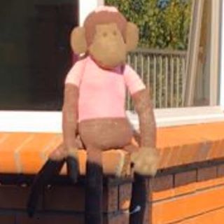 Profile Picture of Matthew de Groot (@matthew.degroot.37) on Facebook