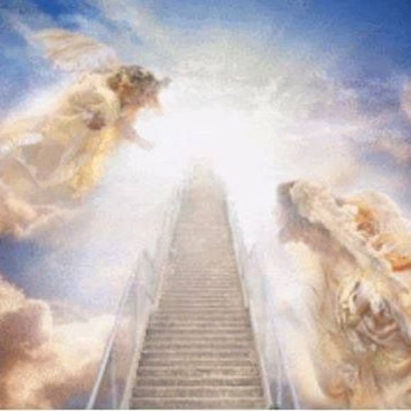 Profile Picture of Danny Fleming (@dcf6659) on Poshmark