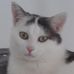 Profile Picture of Reisinger Benjamin (@huber.benjamin.5) on Facebook
