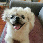 Iris Poon - Instagram Profile Picture of Iris Poon (@tiramiujourney) on Instagram