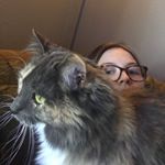 Profile Picture of Allison Keeley (@nosillayeleek) on Instagram