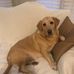 Profile Picture of Kim Gorham (@kim.gorham.773) on Facebook