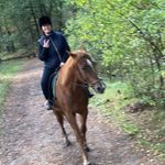 Profile Picture of Anna Van Bennekom Platteschor (@angilla86) on Instagram