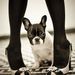 Profile Picture of Lisa M Kennedy (@ablemabel) on Pinterest