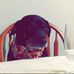 Profile Picture of Chris Marchitello (@chris.marchitello.3) on Facebook