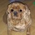 Profile Picture of Jo Horner (@jo.horner.397) on Facebook