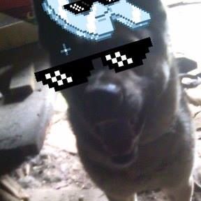 Profile Picture of Daniil Lipko (@daniil.lipko) on Facebook