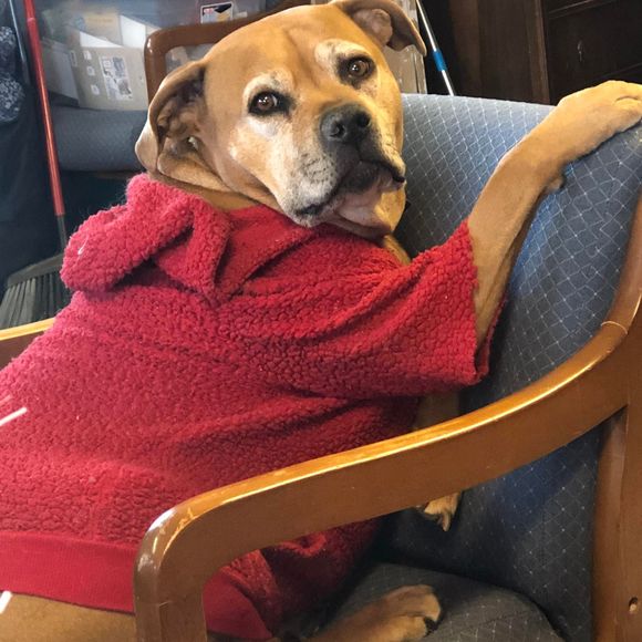 Profile Picture of Janet Travis (@jantrav505) on Poshmark