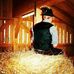 Profile Picture of Robin Graf (@robin.graf.566) on Facebook